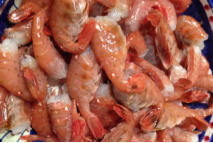 BC Fishing Charters - Gibsons Landing Harbour