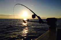 BC Fishing Charters - Gibsons Landing Harbour